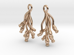 Ascilla Sponge earrings in 14k Rose Gold