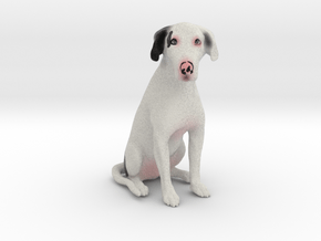 Custom Dog Figurine - Frank in Full Color Sandstone