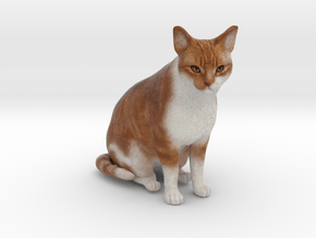 Custom Cat Figurine - Padme in Full Color Sandstone