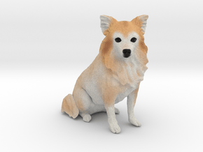 Custom Dog Ornament - Prince in Full Color Sandstone