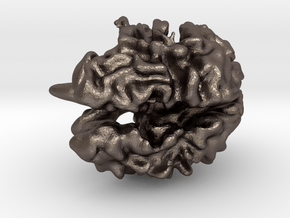 Brain White Matter in Polished Bronzed Silver Steel