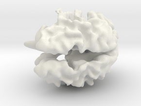 Brain White Matter in White Natural Versatile Plastic