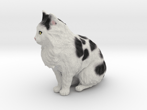 Custom Cat Figurine - Earl in Full Color Sandstone
