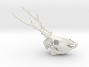 Roe Deer Skull - 110mm in White Natural Versatile Plastic