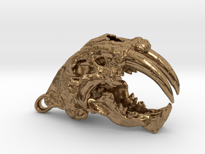 Skull of a saber-toothed Cat in Natural Brass