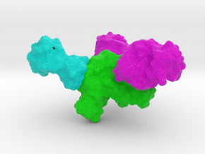 Ebola virus vaccine Zmapp in Full Color Sandstone