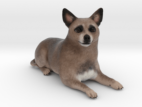 Custom Dog Figurine - Milo in Full Color Sandstone