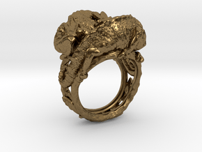 Ring Chameleons in Natural Bronze