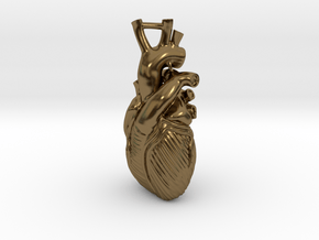 Anatomical Heart Pendant in Polished Bronze
