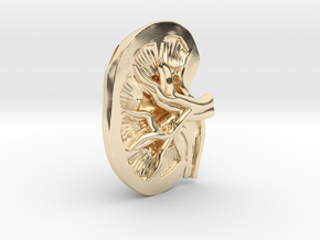 Anatomical Kidney Pendant in 14K Yellow Gold