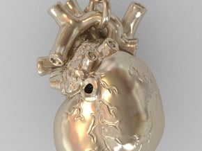 3D-Printed Anatomical Heart Pendant in Polished Bronze Steel