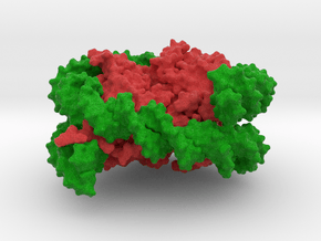 DNA Coil Schematic in Full Color Sandstone