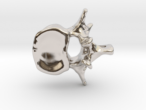 Anatomical Lumbar Vertebra Pendant in Platinum