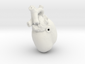 3D-Printed Anatomical Heart Pendant in White Natural Versatile Plastic