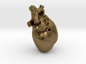 3D-Printed Anatomical Heart Pendant in Natural Bronze