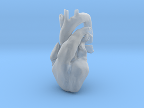 Ultra-Realistic Heart by 3DGEOM in Smooth Fine Detail Plastic