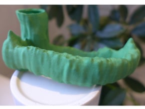 Plant Stomata in Green Processed Versatile Plastic