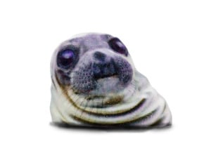 Awkward Moment Seal  in Full Color Sandstone