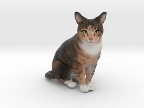 Custom Cat Figurine - Ohki in Full Color Sandstone