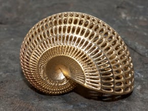 Nautilus Shell Wireframe Pendant Jewelry in Natural Brass