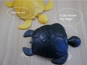 Animal_Turtle in Green Processed Versatile Plastic