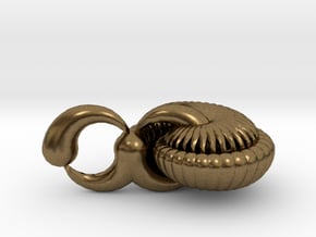 Nautilus in Natural Bronze