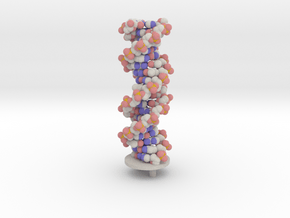 DNA sphere with support in Full Color Sandstone