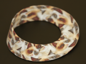 Grumpy Cat Mobius Strip (Infinite Grumpiness)  in Full Color Sandstone