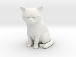 Grumpy Cat in White Natural Versatile Plastic