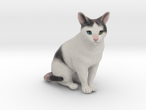Custom Cat Figurine - Buttfuzz in Full Color Sandstone
