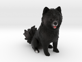 Custom Dog Figurine - Misko in Full Color Sandstone