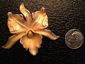 BlakOpal Steamy Orchid in Polished Gold Steel