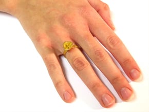 Gold Mine Ring - UK M (inside diameter 16.71mm) in Polished Gold Steel
