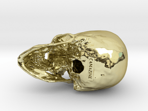 Human skull - 65mm in 18K Gold Plated