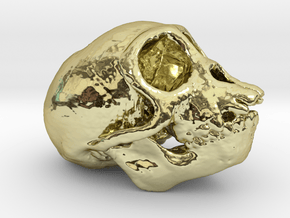 Spider Monkey Skull 50mm in 18K Gold Plated