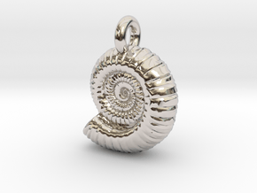 Ammonite Earing/Pendant  in Rhodium Plated Brass