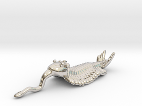 Opabinia - Small in Rhodium Plated Brass