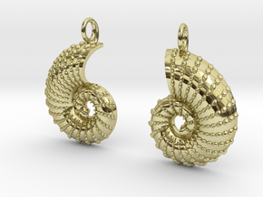 Nautilus Shell Earrings in 18K Gold Plated