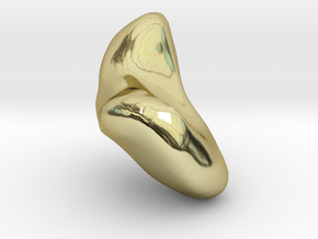 Scaphoid in 18K Gold Plated