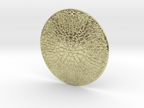 Thalassiosira pseudonana Diatom Pendant ~ 40mm in 18K Gold Plated