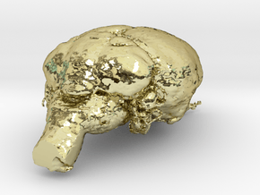 Get a pet mouse brain, real size!  Take it HOME  in 18K Gold Plated