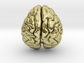 Orangutan Brain in 18K Gold Plated