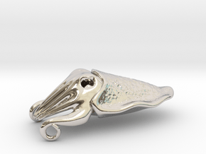 Cuttlefish Pendant in Rhodium Plated Brass: Medium