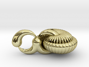 Nautilus in 18K Gold Plated