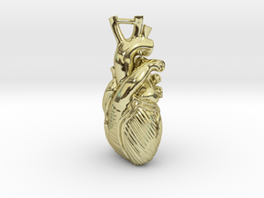 Anatomical Heart Pendant in 18K Gold Plated