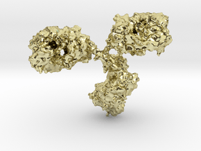 Immunoglobulin Antibody in 18K Gold Plated