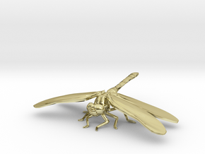 Dragonfly in 18K Gold Plated