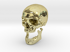 42mm 1.65in Human Skull Crane Schädel че́реп in 18K Gold Plated