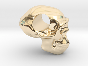 Homo erectus pendant in 14k Gold Plated Brass