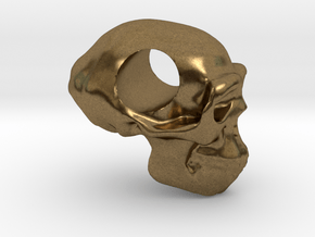 Homo erectus pendant in Natural Bronze